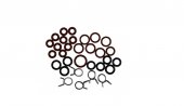 Set O-ring Garnituri Espresor Delonghi